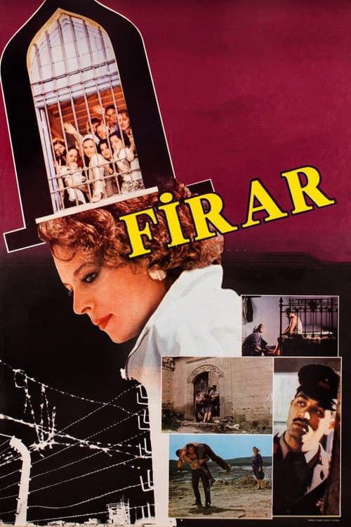 Постер: Firar