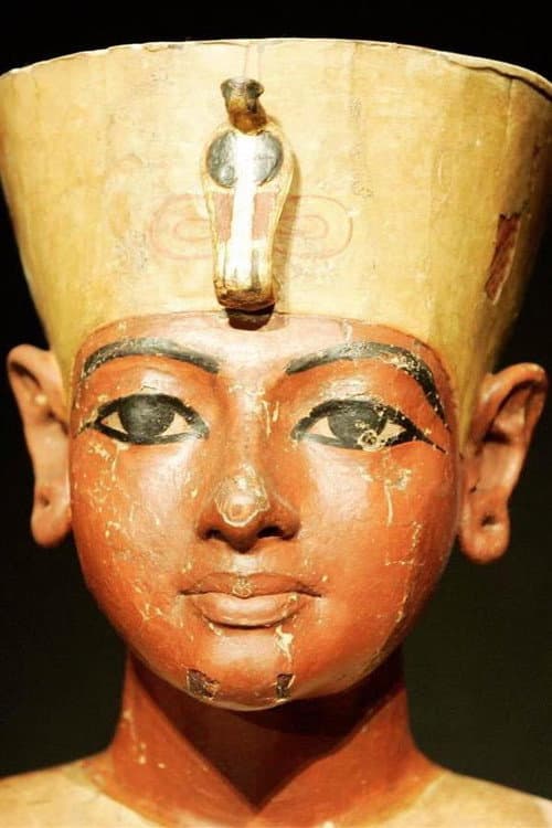 Постер: Egypt's New Tomb Revealed