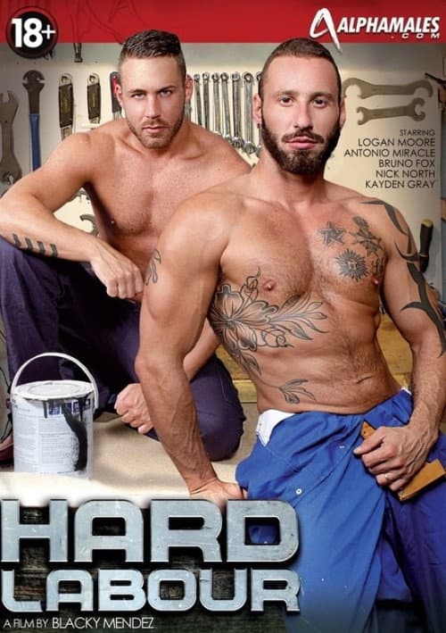 Постер: Hard Labour
