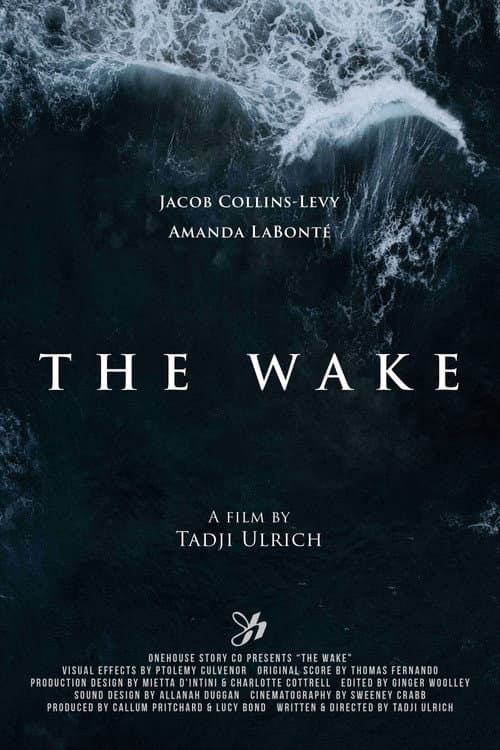 Постер: The Wake