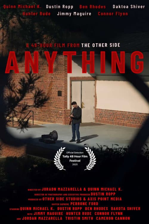 Постер: Anything