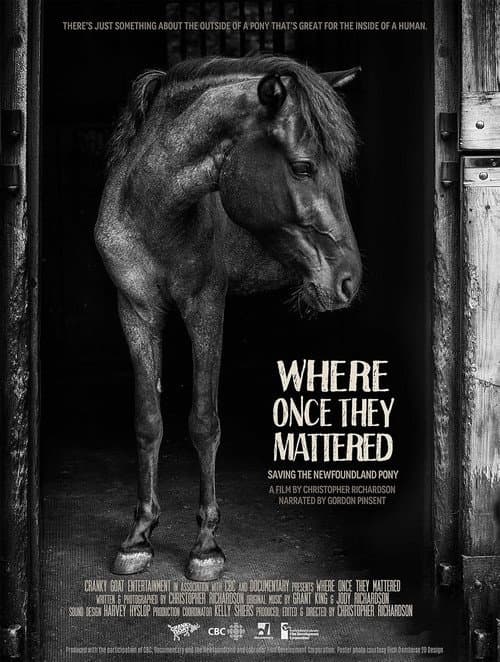 Постер: Where Once They Mattered