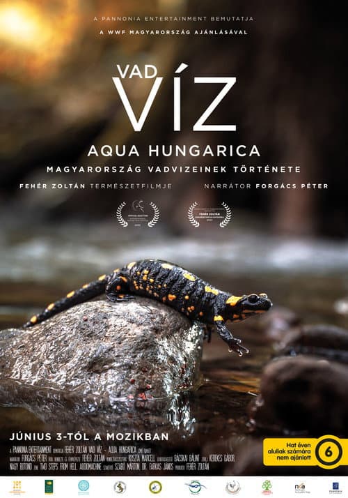 Постер: Vad víz – Aqua Hungarica