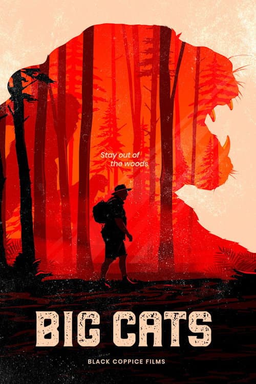 Постер: Big Cats