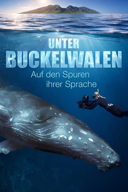 Постер: Unter Buckelwalen - Auf den Spuren ihrer Sprache