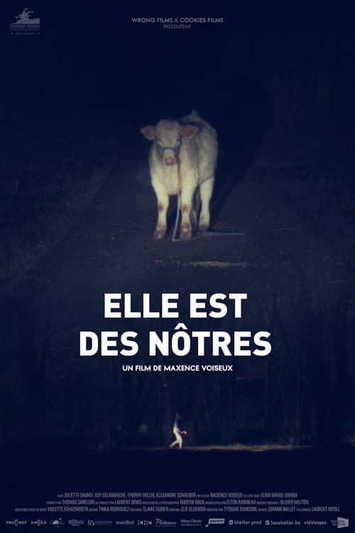 Постер: Elle est des nôtres