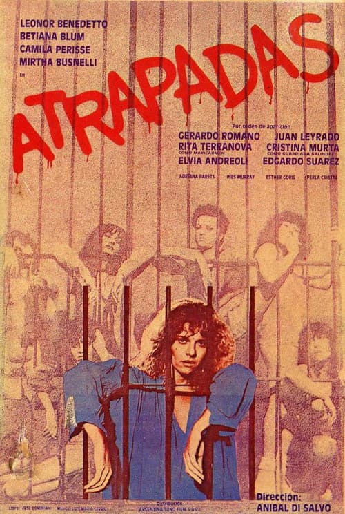 Постер: Atrapadas
