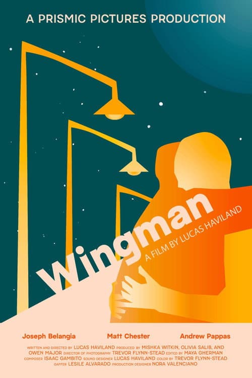 Постер: Wingman