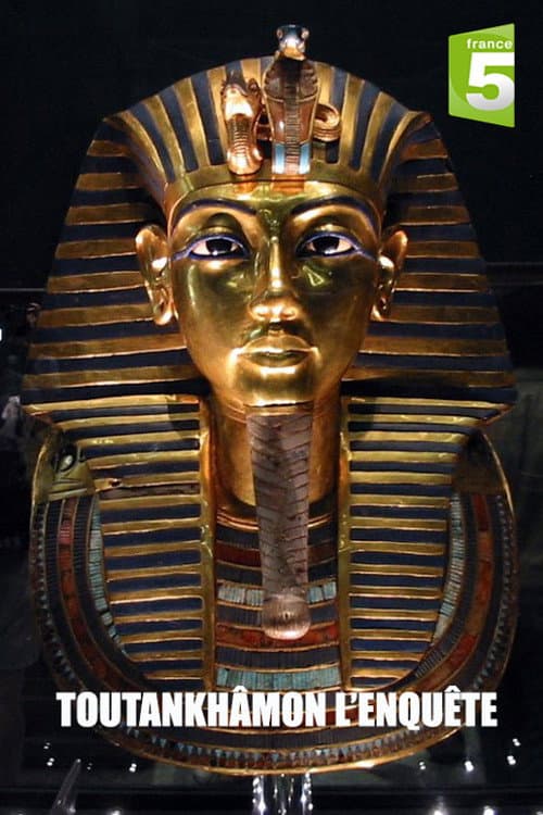 Постер: Tutankhamun: The Mystery of the Burnt Mummy