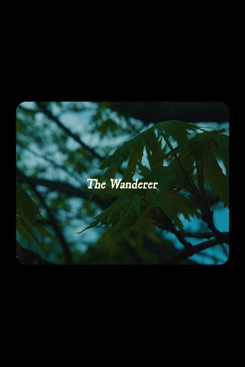 Постер: The Wanderer