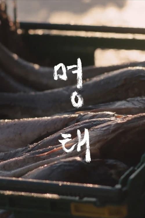 Постер: 명태