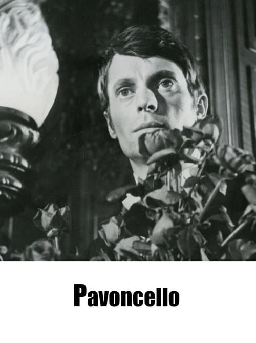 Постер: Pavoncello