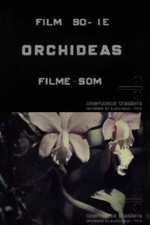 Постер: Orquídeas