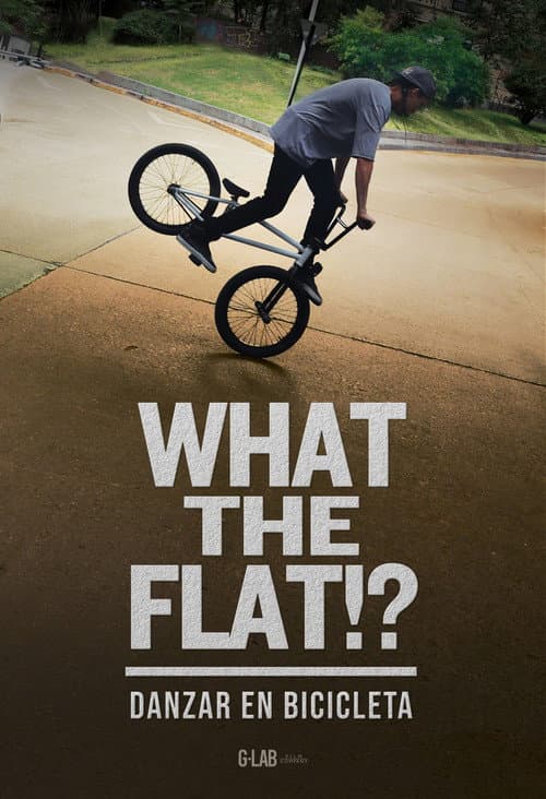 Постер: WHAT THE FLAT!?