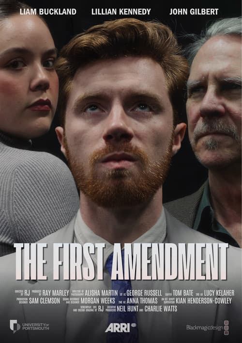 Постер: The First Amedment