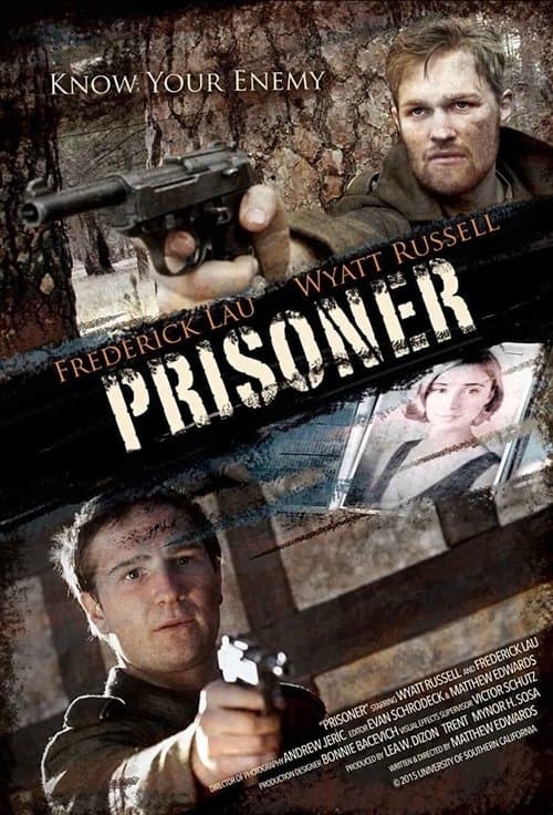 Постер: Prisoner