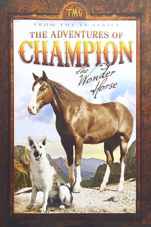 Постер: The Adventures of Champion