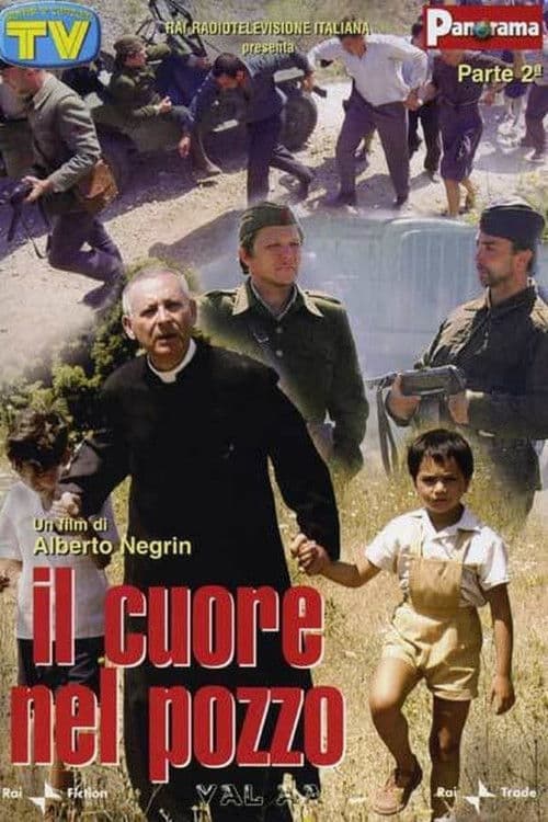 Постер: Il cuore nel pozzo