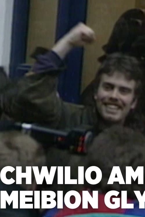 Постер: Bryn Fon: Chwilio am Feibion Glyndwr