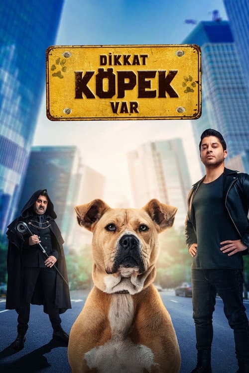 Постер: Dikkat Köpek Var