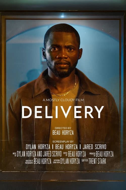 Постер: Delivery
