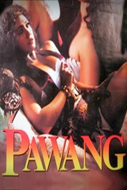 Постер: Pawang