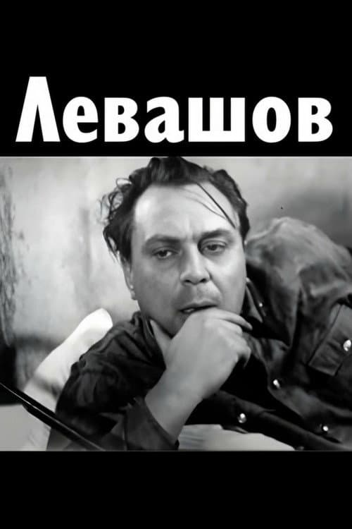 Постер: Левашов