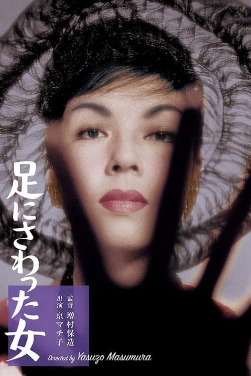 Постер: 足にさわった女