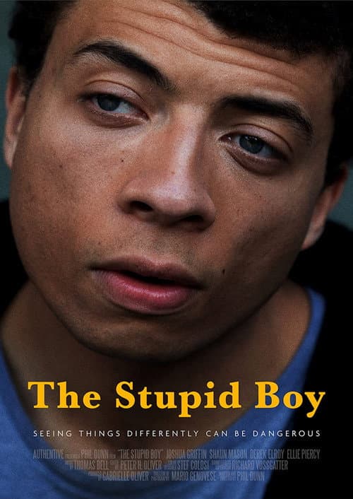 Постер: The Stupid Boy