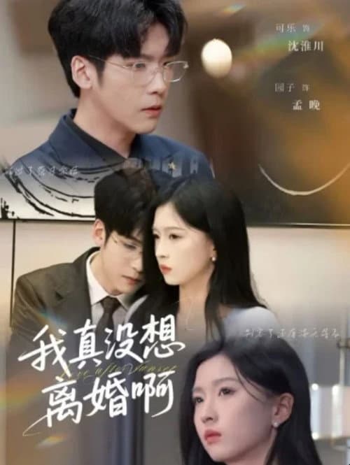 Постер: 我真没想离婚啊