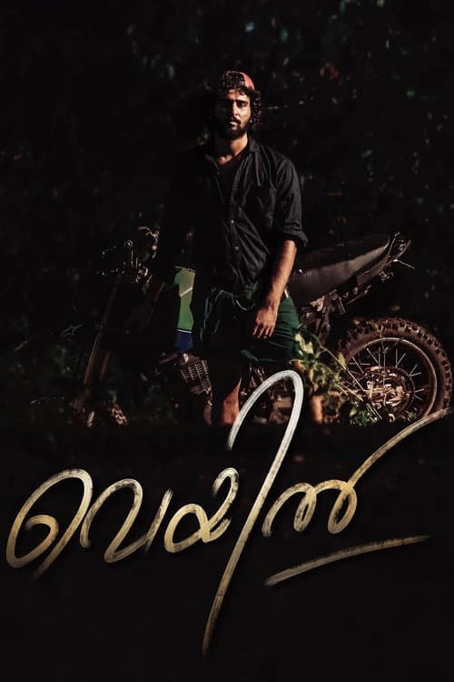 Постер: വെയിൽ