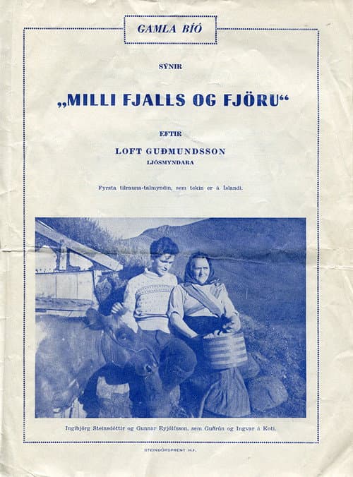 Постер: Milli fjalls og fjöru