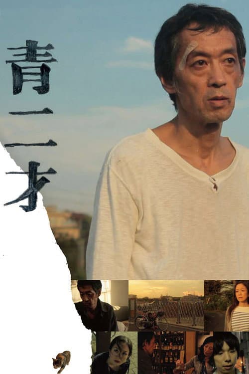 Постер: 青二才
