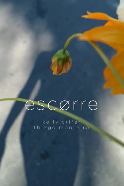 Постер: Escorre