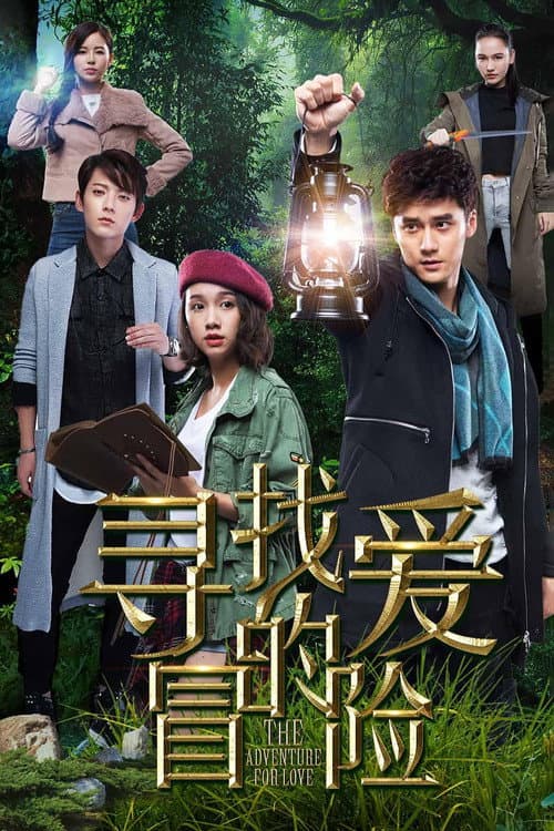 Постер: 寻找爱的冒险