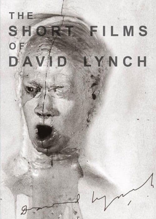Постер: The Short Films of David Lynch