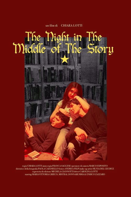 Постер: The night in the middle of the story