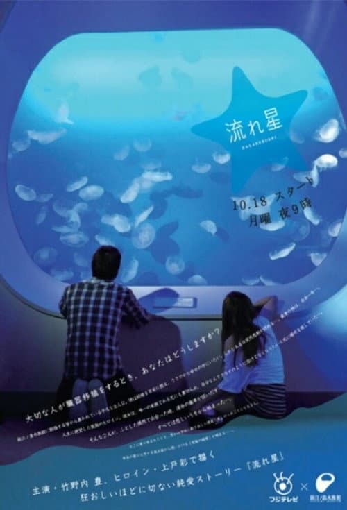 Постер: 流れ星