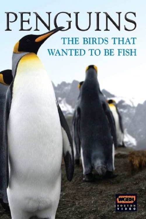 Постер: Penguins: The Story of the Bird that wanted to be Fish