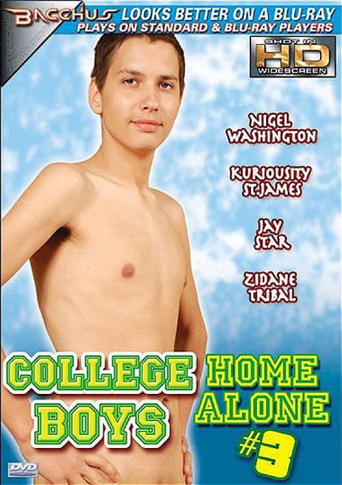 Постер: College Boys Home Alone 3