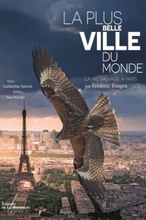 Постер: La Plus Belle Ville du monde