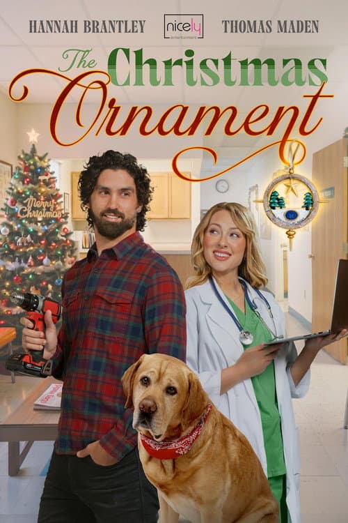 Постер: A Christmas Ornament to Remember