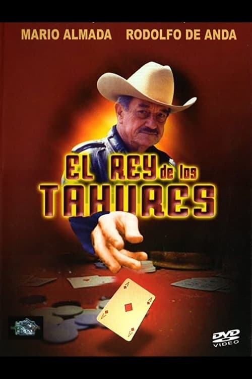 Постер: El rey de los tahures