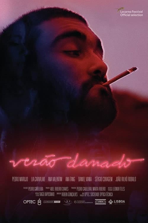 Постер: Verão Danado