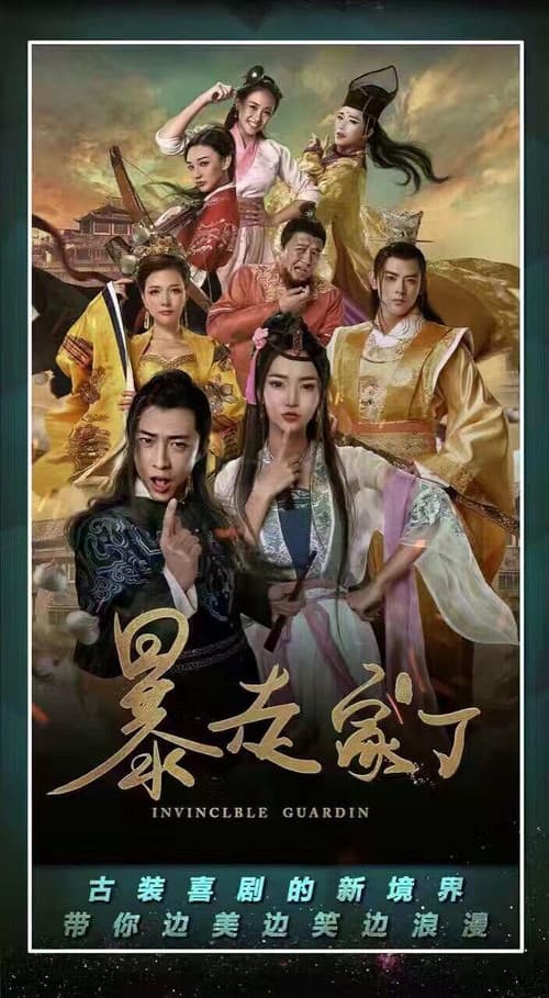 Постер: 暴走家丁