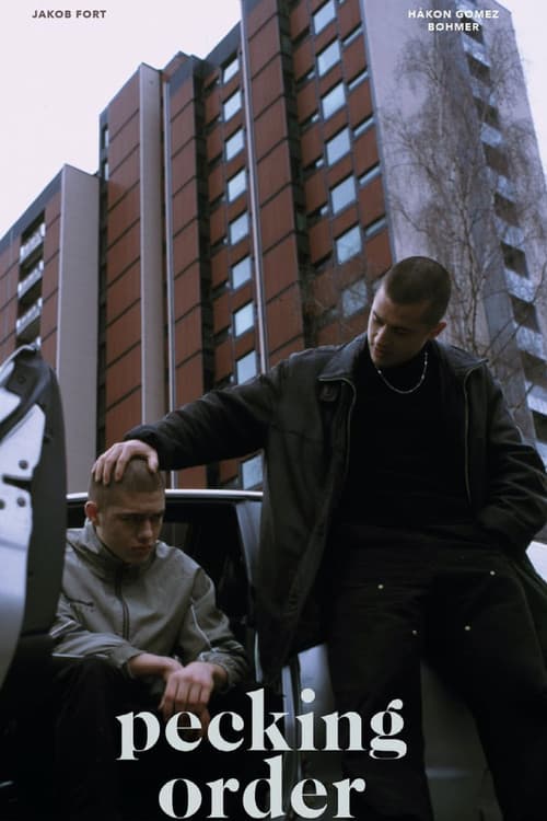 Постер: Hønekamp