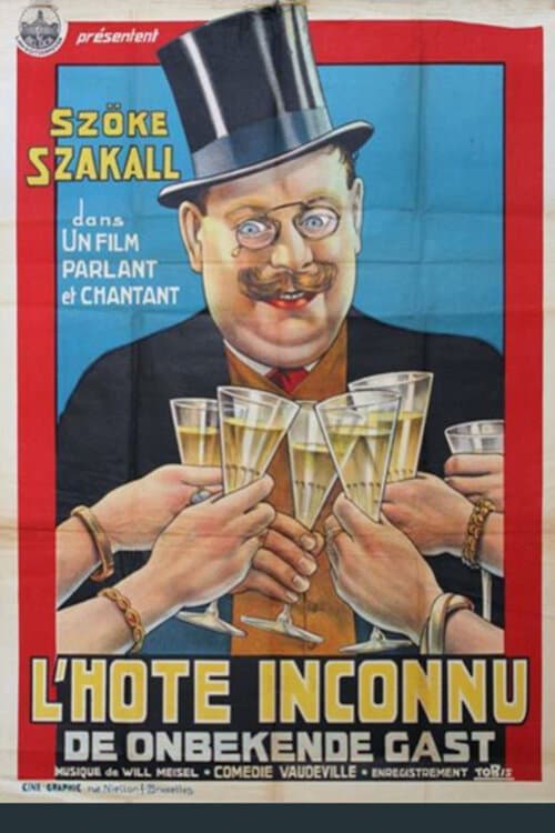 Постер: Der unbekannte Gast