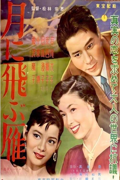 Постер: 月に飛ぶ雁