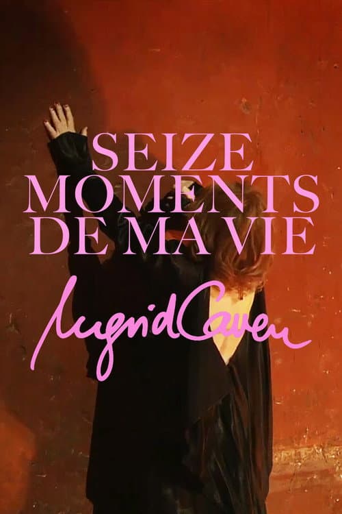 Постер: Seize moments de ma vie