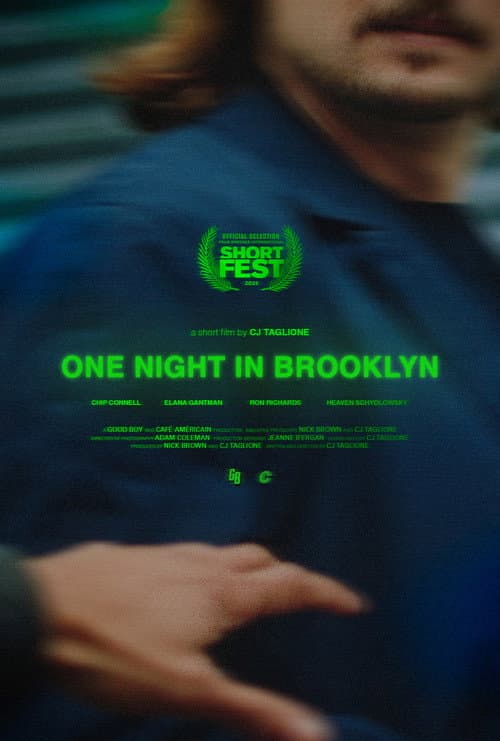 Постер: One Night in Brooklyn